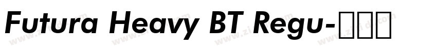 Futura Heavy BT Regu字体转换